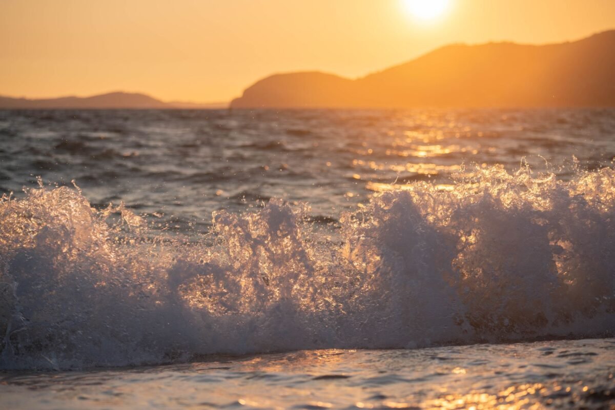 Vague de chaleur : la france menacée d’un record historique de 43 °c ce week-end vague de chaleur record