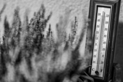 Canicule : 40°C franchis pour la première fois en 2026, le grand oral du bac reporté à Poitiers