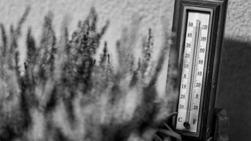 Canicule : 40°c franchis pour la première fois en 2026, le grand oral du bac reporté à poitiers Canicule : 40°C franchis pour la première fois en 2026, le grand oral du bac reporté à Poitiers