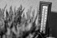 Canicule : 40°c franchis pour la première fois en 2026, le grand oral du bac reporté à poitiers lenny, kravitz, dévoile, nouvel, album