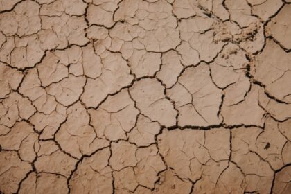 Canicule : 53 départements en alerte orange, bac et Fête de la Musique perturbés