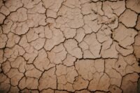 Canicule : 53 départements en alerte orange, bac et fête de la musique perturbés lenny, kravitz, dévoile, nouvel, album