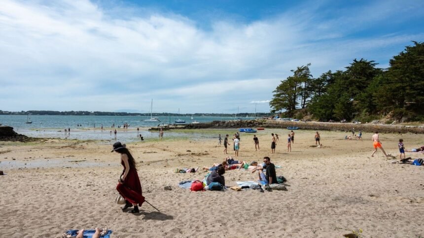 Canicule juin 2026 : la france a battu tous ses records de chaleur, la vague régresse Canicule juin 2026 : la France a battu tous ses records de chaleur, la vague régresse