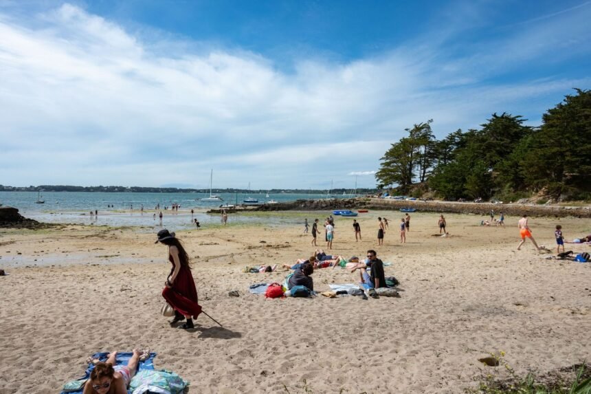 Canicule juin 2026 : la France a battu tous ses records de chaleur, la vague régresse