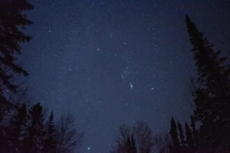 Horoscope du mardi 2 juin : ce que disent les astres