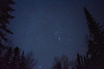 Horoscope du mardi 2 juin : ce que disent les astres