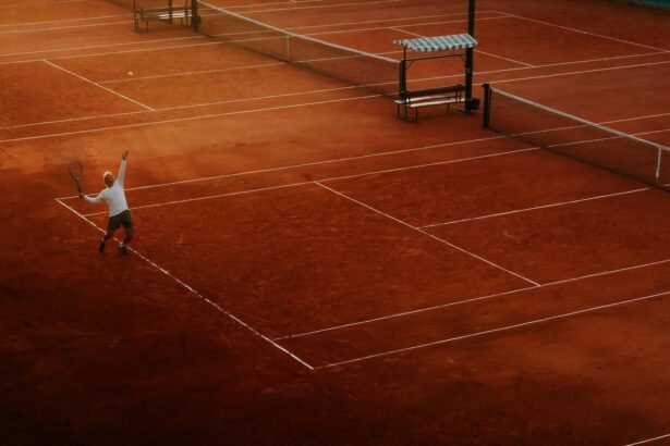 Roland-Garros : Shnaider renverse Sabalenka et file en demie