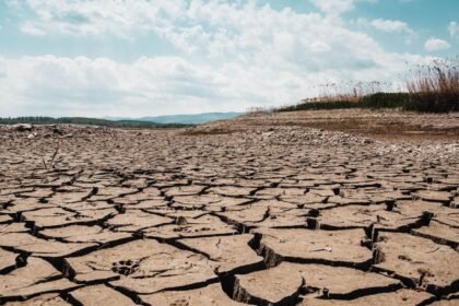 Canicule : 16 départements en vigilance orange mercredi