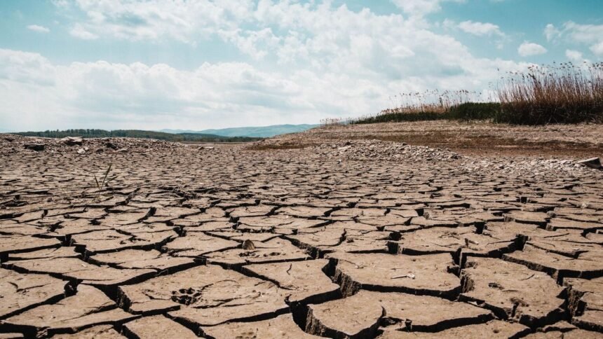 Canicule : 16 départements en vigilance orange mercredi Canicule : 16 départements en vigilance orange mercredi