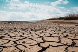 Canicule : 16 départements en vigilance orange mercredi