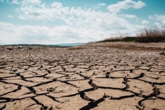 Canicule : 16 départements en vigilance orange mercredi Canicule : 16 départements en vigilance orange mercredi