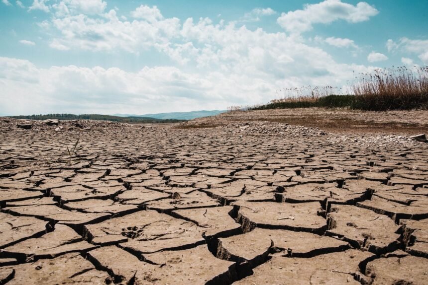 Canicule : 16 départements en vigilance orange mercredi Canicule : 16 départements en vigilance orange mercredi