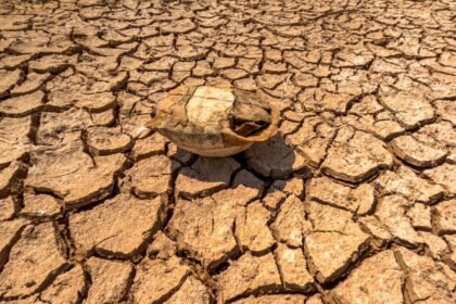 Canicule juillet 2026 : le thermomètre repart jeudi dans le Sud, 38 à 40 °C attendus dès le 5 juillet