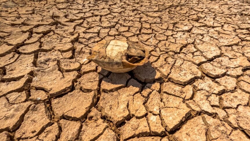 Canicule juillet 2026 : le thermomètre repart jeudi dans le sud, 38 à 40 °c attendus dès le 5 juillet Canicule juillet 2026 : le thermomètre repart jeudi dans le Sud, 38 à 40 °C attendus dès le 5 juillet