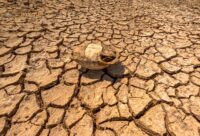 Canicule juillet 2026 : le thermomètre repart jeudi dans le Sud, 38 à 40 °C attendus dès le 5 juillet