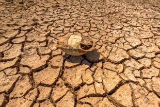 Canicule juillet 2026 : le thermomètre repart jeudi dans le Sud, 38 à 40 °C attendus dès le 5 juillet