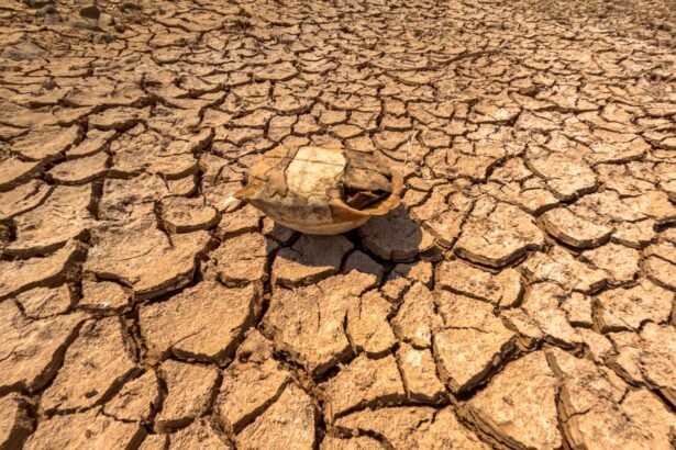 Canicule juillet 2026 : le thermomètre repart jeudi dans le sud, 38 à 40 °c attendus dès le 5 juillet Canicule juillet 2026 : le thermomètre repart jeudi dans le Sud, 38 à 40 °C attendus dès le 5 juillet