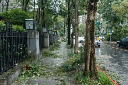 Typhon bavi : taïwan face à la pire tempête depuis trente ans Typhon Bavi : Taïwan face à la pire tempête depuis trente ans