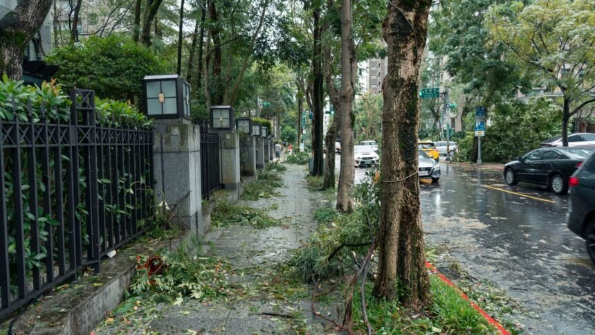 Typhon bavi : taïwan face à la pire tempête depuis trente ans Typhon Bavi : Taïwan face à la pire tempête depuis trente ans