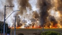 Accidents et incendies sur les autoroutes : le dossier