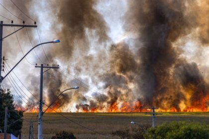 Incendie en Seine-et-Marne : 300 hectares brûlés près de l’autoroute A5