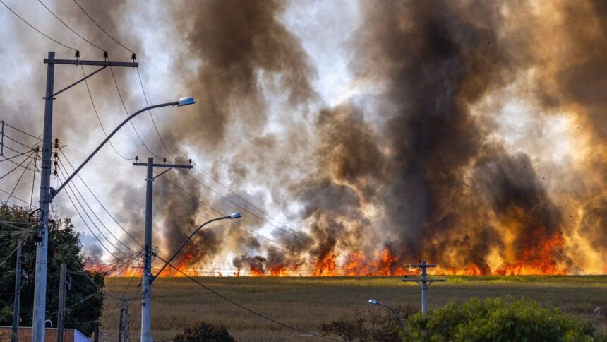 Incendie en seine-et-marne : 300 hectares brûlés près de l’autoroute a5 Incendie en Seine-et-Marne : 300 hectares brûlés près de l’autoroute A5