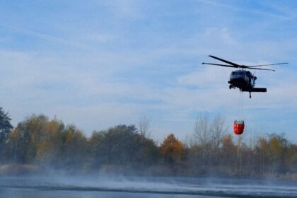 Forêt de Fontainebleau : 1 900 hectares ravagés, deux suspects en garde à vue