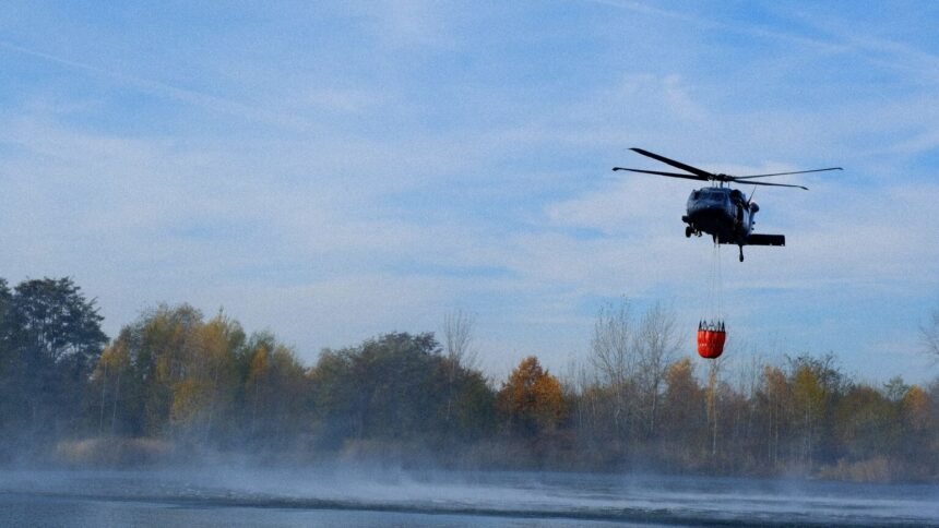 Forêt de fontainebleau : 1 900 hectares ravagés, deux suspects en garde à vue Forêt de Fontainebleau : 1 900 hectares ravagés, deux suspects en garde à vue