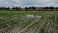 Loi d’urgence agricole : l’assemblée vote ce soir sur le retour des pesticides interdits