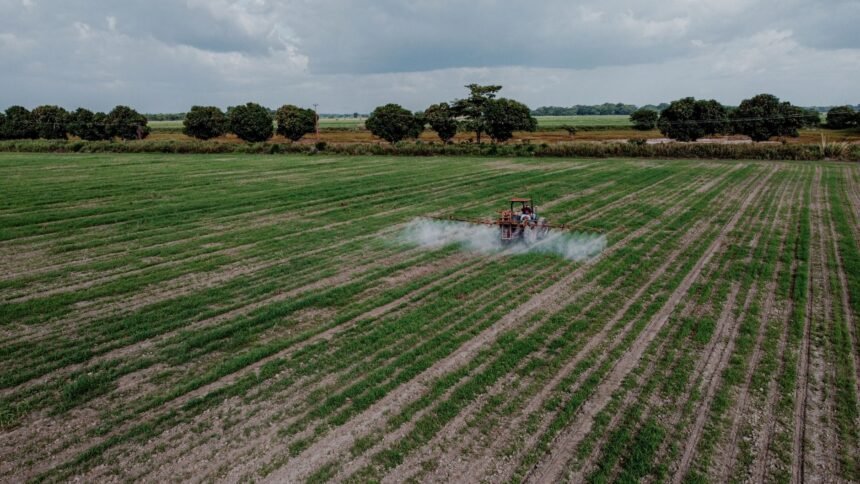 Loi d’urgence agricole : l’assemblée vote ce soir sur le retour des pesticides interdits loi urgence agricole pesticides