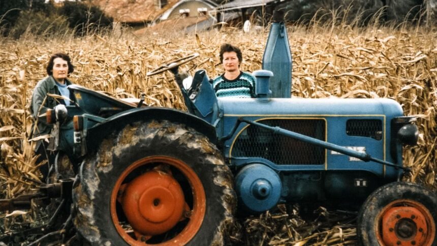 Loi d'urgence agricole : les écologistes et lfi saisissent le conseil constitutionnel Loi d’urgence agricole : les Écologistes et LFI saisissent le Conseil constitutionnel