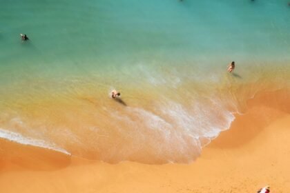 Canicule juin 2026 : le bilan dépasse la catastrophe de 2003, selon Santé publique France