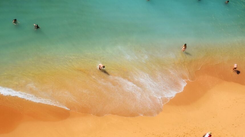 Canicule juin 2026 : le bilan dépasse la catastrophe de 2003, selon santé publique france Canicule juin 2026 : le bilan dépasse la catastrophe de 2003, selon Santé publique France
