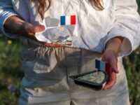 Danone : bons résultats mais action en chute sur fond de ralentissement chinois thomas, vergara, tacle, youtubeuse, affirme