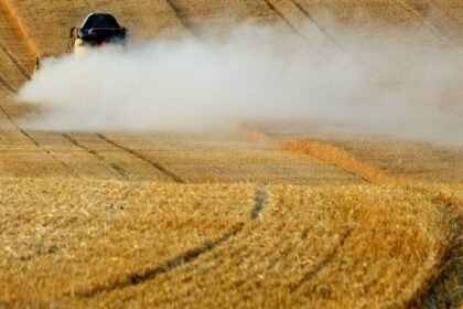 Le Sénat adopte la loi d’urgence agricole, avec des pesticides controversés