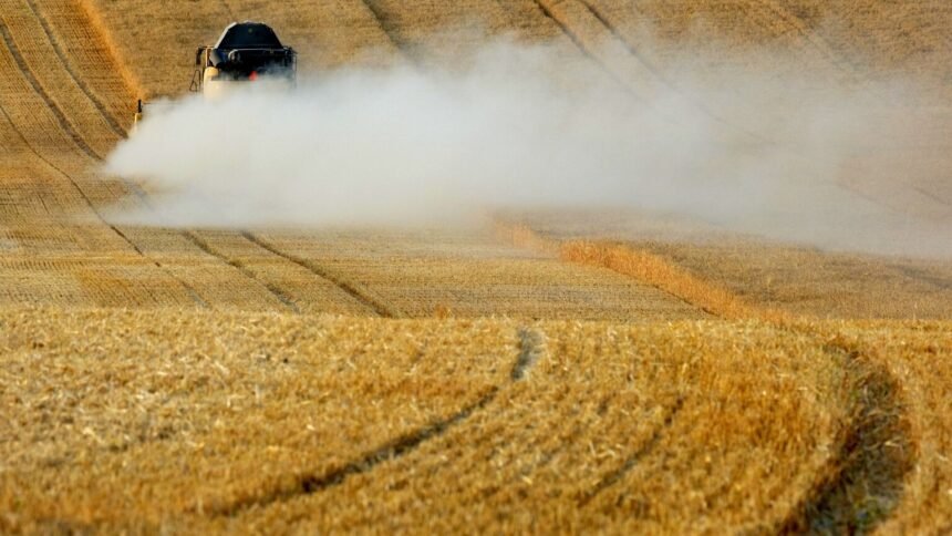 Le sénat adopte la loi d’urgence agricole, avec des pesticides controversés Le Sénat adopte la loi d’urgence agricole, avec des pesticides controversés
