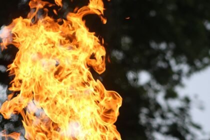 Canicule : vigilance orange maintenue dans plusieurs départements, un nouvel épisode attendu ce week-end