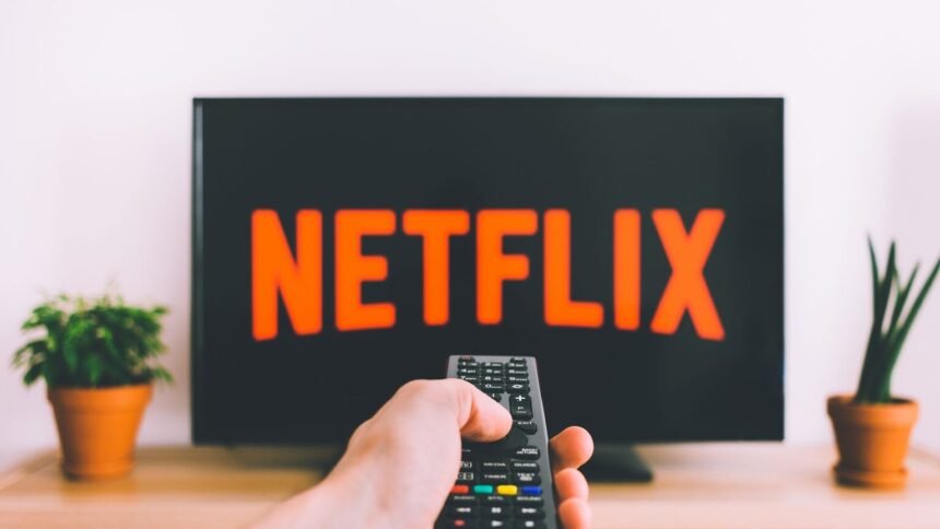 Netflix, disney+ et prime video attaquent la france devant le conseil d’état Netflix, Disney+ et Prime Video attaquent la France devant le Conseil d’État