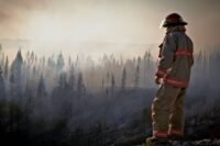 Gironde : le feu reste stabilisé après une nuit calme