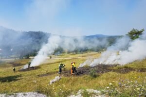 Incendie en gironde : 198 000 évacués autorisés à rentrer chez eux Incendie en Gironde : 198 000 évacués autorisés à rentrer chez eux