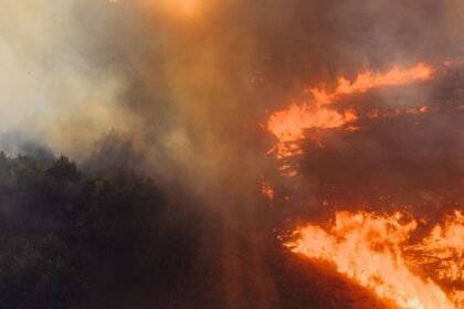 Incendie dans le var : l'axe ferroviaire marseille-nice toujours perturbé ce lundi Incendie dans le Var : l’axe ferroviaire Marseille-Nice toujours perturbé ce lundi
