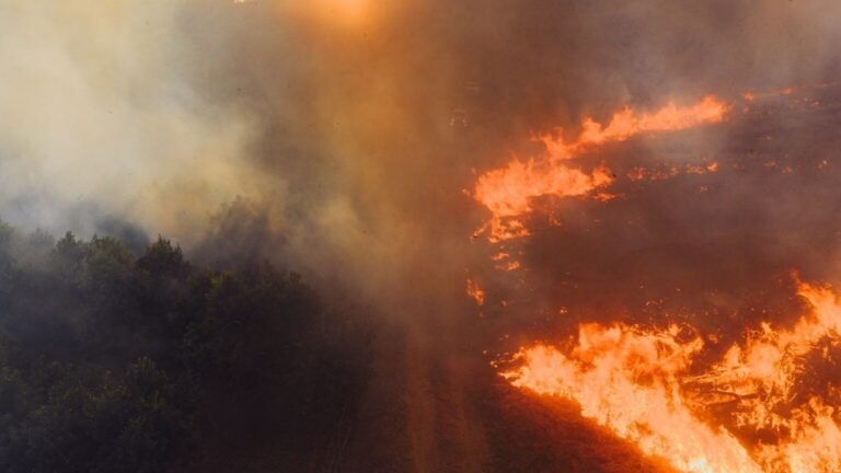 Incendie dans le Var : l’axe ferroviaire Marseille-Nice toujours perturbé ce lundi