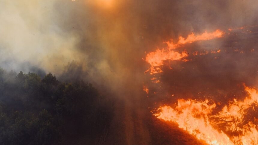 Incendie dans le var : l'axe ferroviaire marseille-nice toujours perturbé ce lundi Incendie dans le Var : l’axe ferroviaire Marseille-Nice toujours perturbé ce lundi