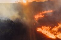 Incendie dans le var : l'axe ferroviaire marseille-nice toujours perturbé ce lundi Incendie dans le Var : l'axe ferroviaire Marseille-Nice toujours perturbé ce lundi