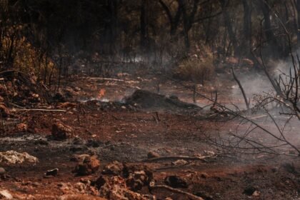Incendies : Brégeon dénonce un « mensonge éhonté »