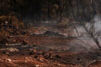 Incendies : Brégeon dénonce un « mensonge éhonté »