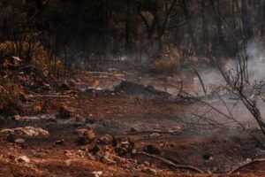 Incendies : Brégeon dénonce un « mensonge éhonté »