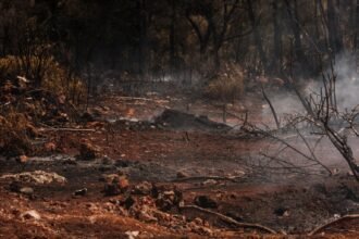 Incendies : Brégeon dénonce un « mensonge éhonté »