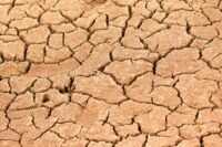Sécheresse record : la france affronte un juillet aussi sec que 2022 Sécheresse record : la France affronte un juillet aussi sec que 2022