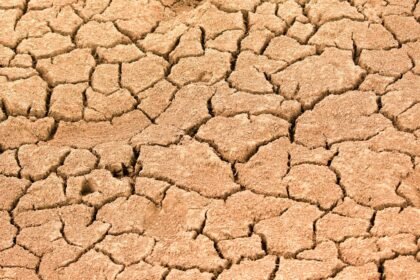 Sécheresse record : la France affronte un juillet aussi sec que 2022